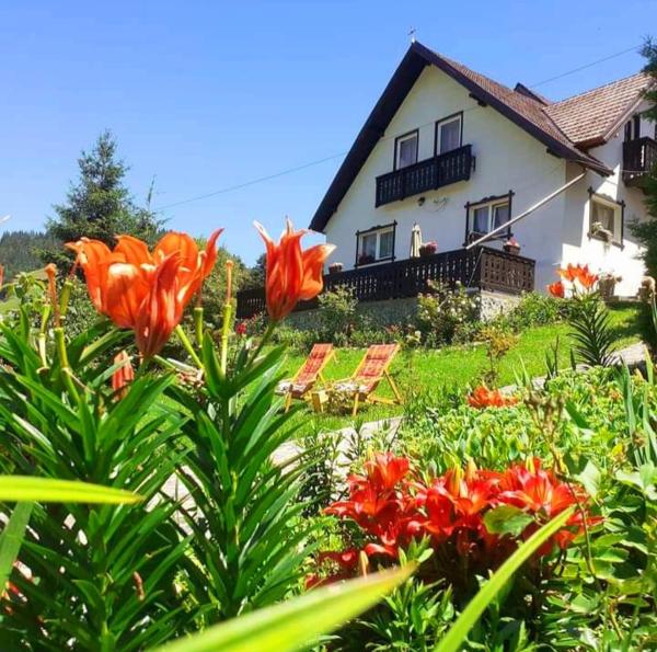 Casa Victoria, Rezervovat Penzión Moeciu de Sus 