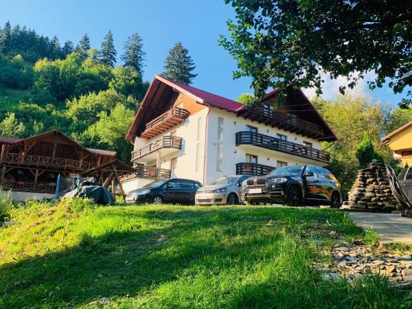 Pensiunea Pietrosul, Rezervovat Penzión Borşa 