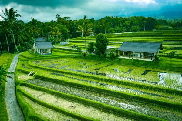 Kubu D'Ume Homestay
