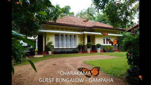 CHARAKAMA Guest Bungalow - GAMPAHA, Rezervovat Penzión Minuwangoda Gampaha District