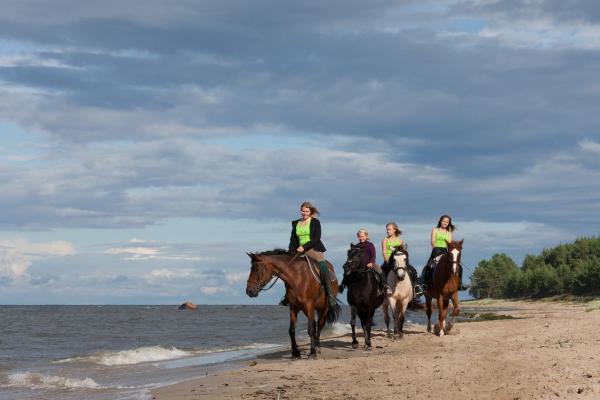 Arma Riding Farm And Holiday Home, Rezervovat Rekreační dům Rutja 