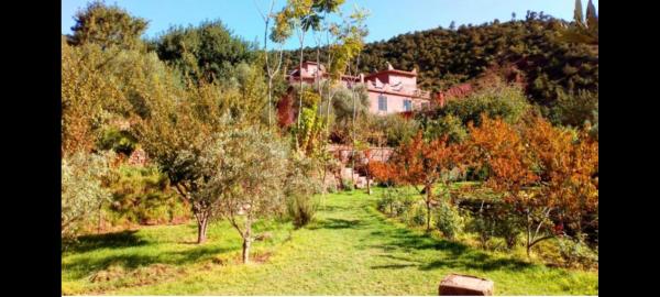 Ourika Timalizène le jardin des délices, Rezervovat Penzión Ourika 