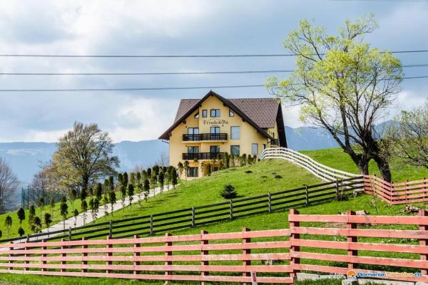 Pension Creasta de Vis, Rezervovat Penzión Prahova Valley hotely s bazénem, Bazén