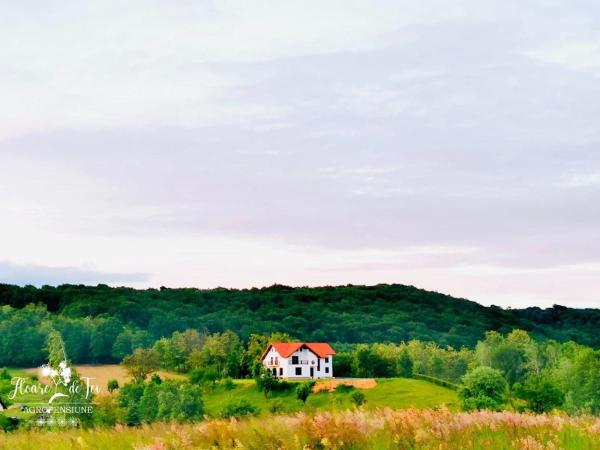Agropensiunea Floare de Tei, Rezervovat Farmářský pobyt Carpathians - Romania hotely s bazénem, Bazén