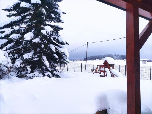 Ferienhaus am Hochficht Mühlviertel in Oberösterreich, Rezervovat Vila Freundorf Horní Rakousko