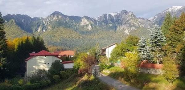 Casa EMY Busteni, Rezervovat Vila Buşteni 