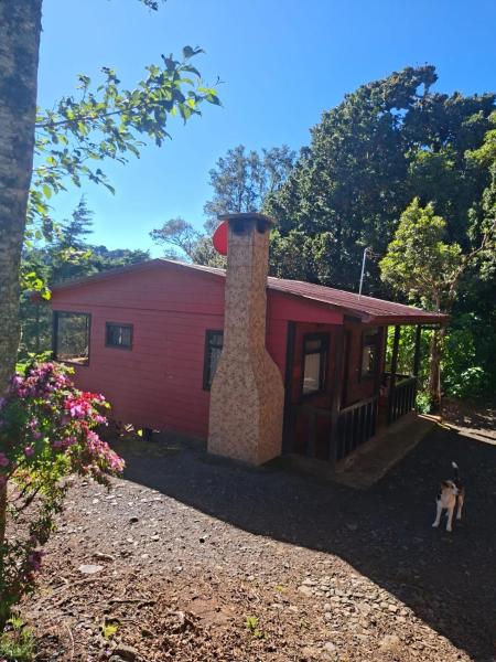 Las Bromelias Lodge, Rezervovat Rekreační dům Chaty v Sabanilla, Chalupa