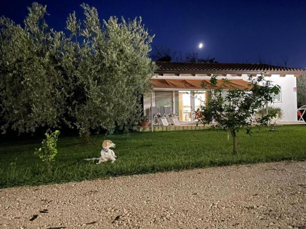Villetta Bianca Pisticci-Matera, Rezervovat Rekreační dům Basilicata hotely s parkováním, Parkování
