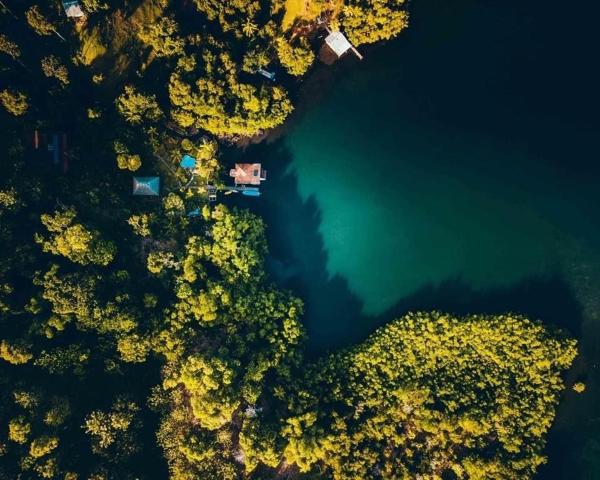 Dolphin Bay Hideaway, Rezervovat Penzión se snídaní Bocatorito 