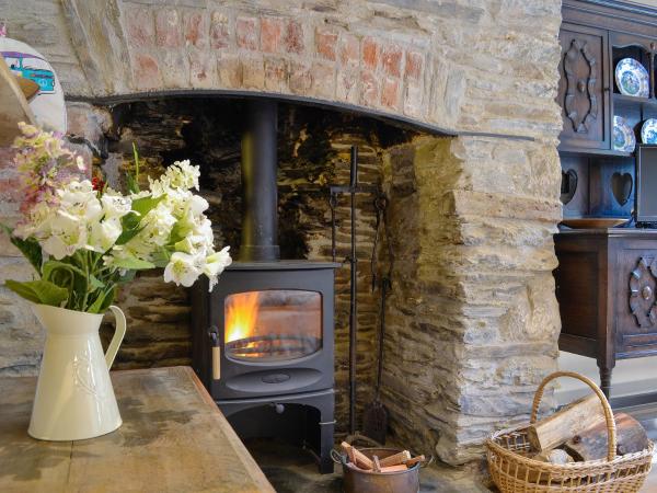 Annies Cottage, Rezervovat Rekreační dům Buckland Monachorum Devon