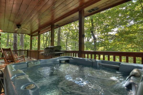 Bearfoot Ridge Wood-burning fireplace cozy hot tub serene views, Rezervovat Vila Ellijay 