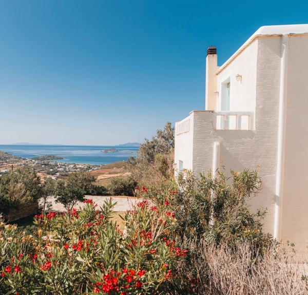 Villa Il Paradiso Andros, Rezervovat  Gavrio Andros Island