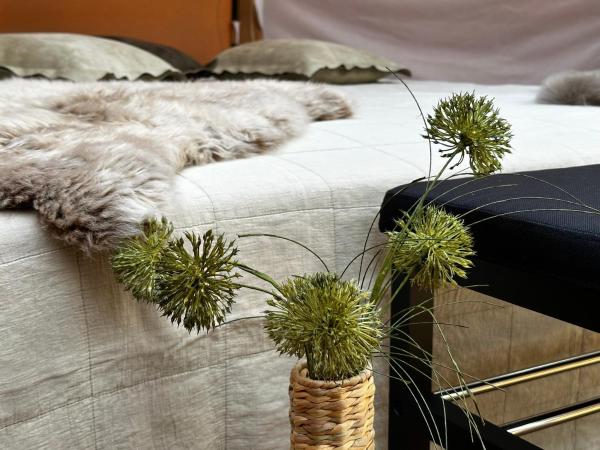 Romantic Luxus Glamping 3, Rezervovat Kemp Falster hotely se snídaní, Snídaně