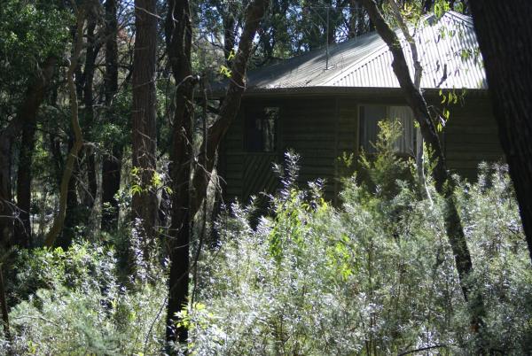 Twin Falls Bush Cottages, Rezervovat Penzión Kangaroo Valley South Coast