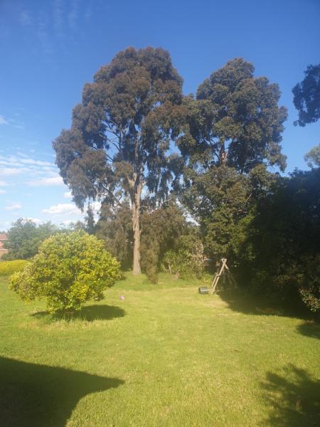 Feel Country breeze, Rezervovat  Rowville Melbourne