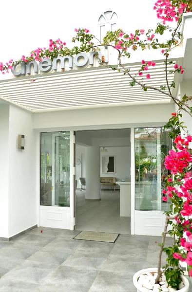 Anemoni Beach Hotel, Rezervovat  Skiathos 