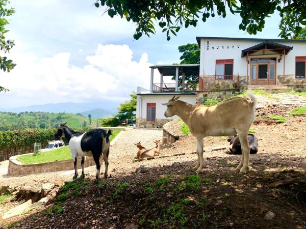 Amazi Land Home and Farm Stay, Rezervovat  Kibuye Gitsi
