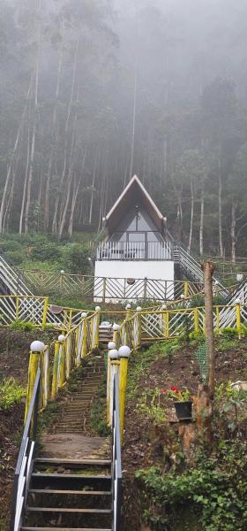 The Soul Of Vattavada, Rezervovat  Vattavada Nové Dilí