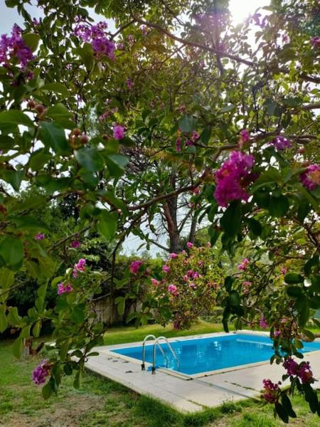 Villa indépendante avec piscine au rdc, Rezervovat  Hotely v Nyons s bazénem, Bazén