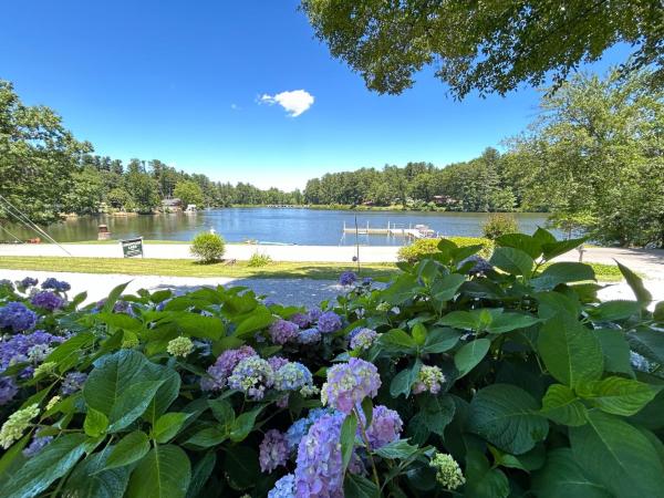 Mountain Lake Cottages, Rezervovat  Hendersonville Severní Karolína
