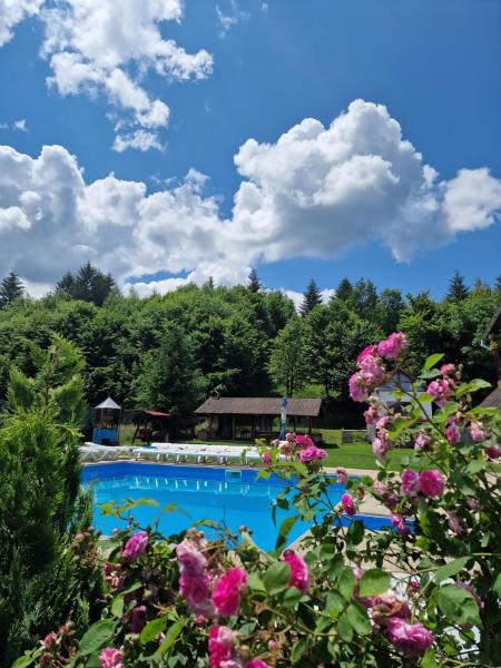 Pensiunea Andreea, Rezervovat  Prahova Valley hotely s bazénem, Bazén