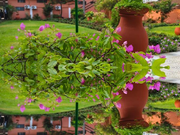 Gratitude Lodge, Rezervovat  Cotonou 