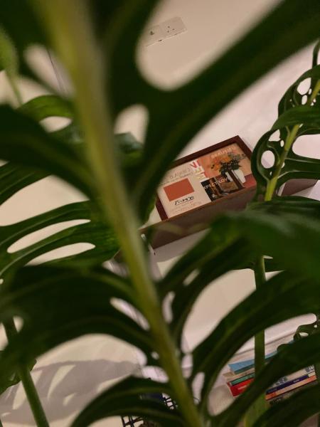 Homs Female Hostel, Rezervovat  Levné hotely v Georgetown