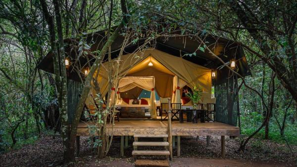 Soroi Mara Bush Camp, Rezervovat  Talek Maasai Mara National Reserve