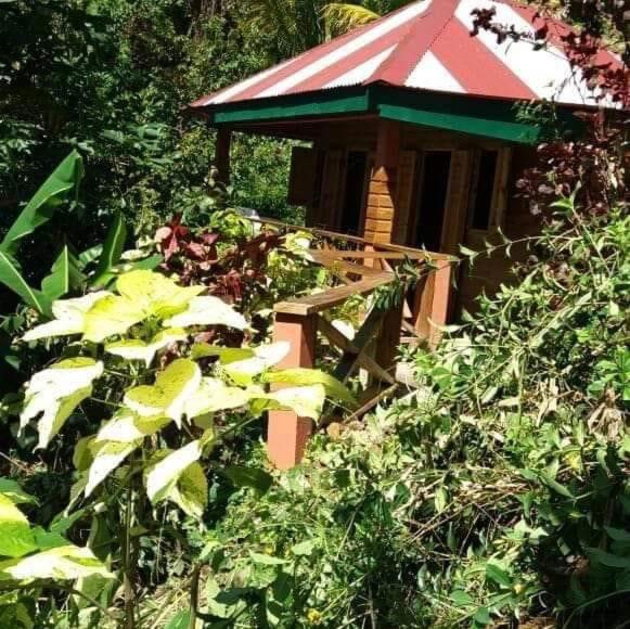 Berkey's Jungle Paradise Resort, Rezervovat  Roseau Dominika