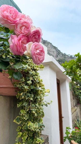 Il Cigno B&B