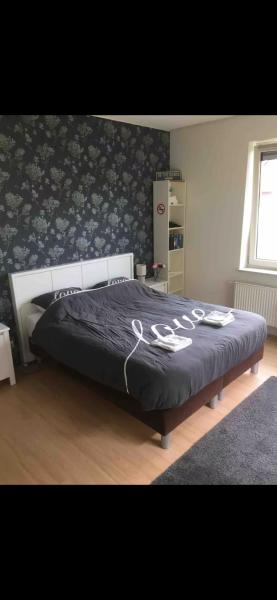 De Groene Oase, Rezervovat  Harkstede Groningen