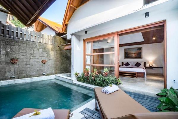 Gigi Mas Private Pool Villa Ubud, Rezervovat  Bali hotely s bazénem, Bazén