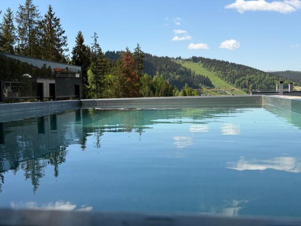 Chalet Velvet by Fomich, Rezervovat Chata Hotely v Ivano-Frankivsk s bazénem, Bazén