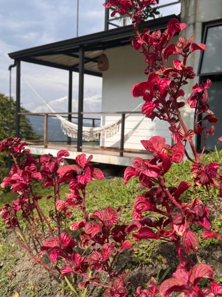 Cabañas Alondra - Hotel Boutique, Rezervovat  Vergara hotely s bazénem, Bazén