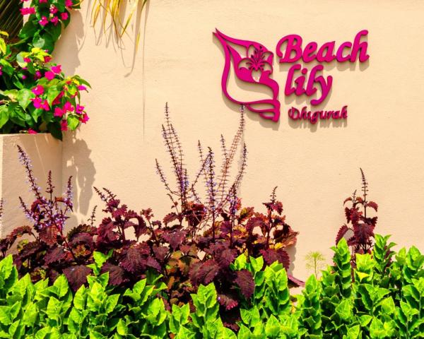 Beach Lily Dhigurah, Rezervovat  Dhigurah Ari Atoll