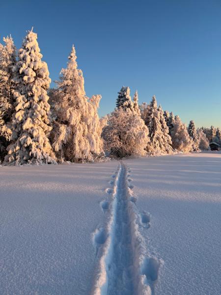 Villa Metsälä, Rezervovat  North Ostrobothnia hotely s parkováním, Parkování