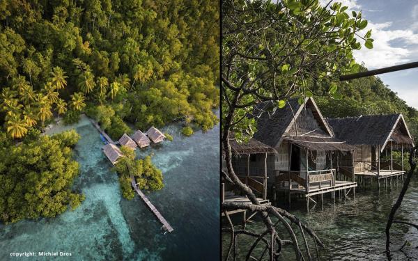 Nyandesner, Rezervovat  Pulau Mansuar 