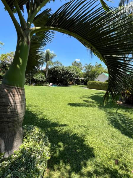 Hotel boutique LA FLOR, Rezervovat  Jiutepec Morelos