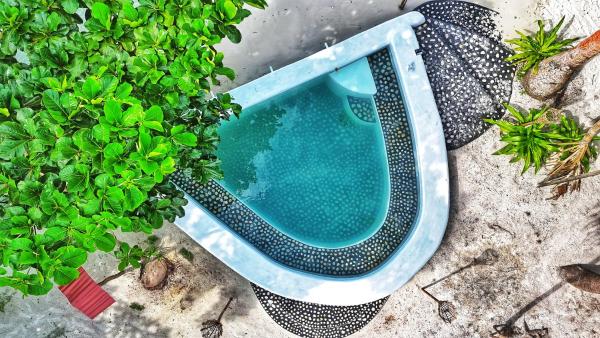 Villa M, Rezervovat  Letman Maluku