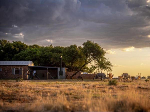 Anna Africa Guest House, Rezervovat  Bloemfontein Free State
