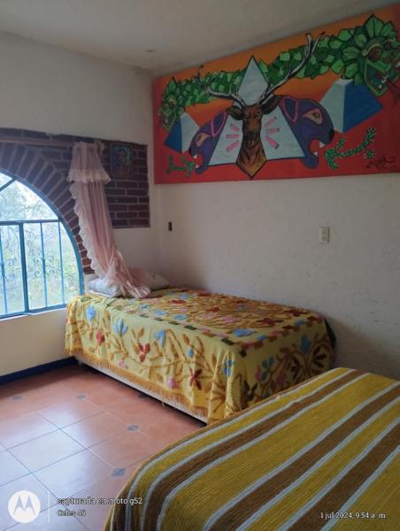 Eco Rooms Pablo\s, Rezervovat  Curva La Pera Morelos