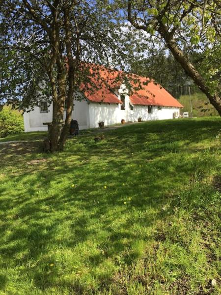 Vacation home on the Half island Helgenæs, Rezervovat  Knebel 