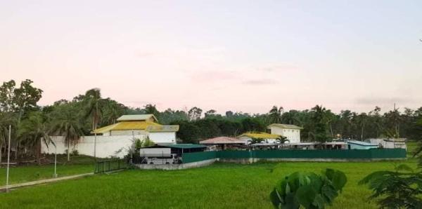 green aa garden resort, Rezervovat  Bohol hotely s bazénem, Bazén
