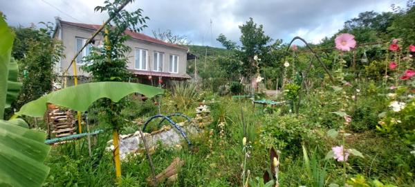 Guest House David, Rezervovat  Gumbra 