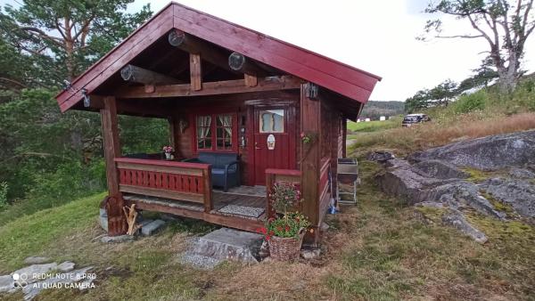 Suigard Smia, Rezervovat  Sauland Vestfold