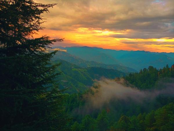 Sunrise Homestay Kufri, Rezervovat  Cheog Himachal Pradesh