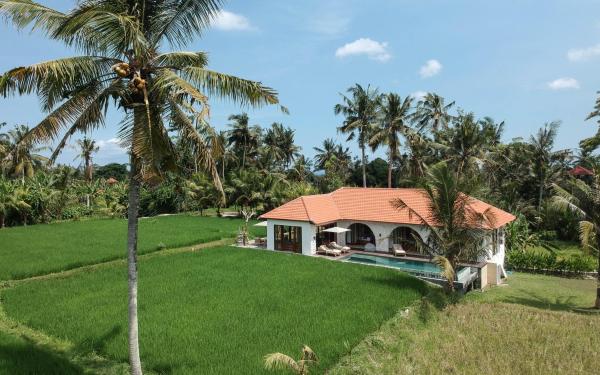 Villa Léna - 3 Bedroom Villa Amidst Ubud's Rice Fields, 180 degree View, Rezervovat  Bali hotely s bazénem, Bazén