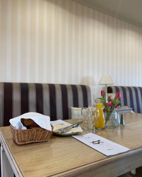 Divá Kačica Restaurant & Pansion, Rezervovat Penzión Zemianska Olca Slovensko