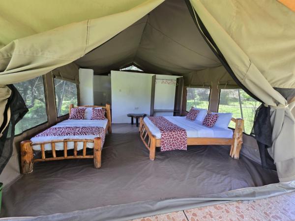 Wild Nest Mara camp, Rezervovat  Masai Mara 