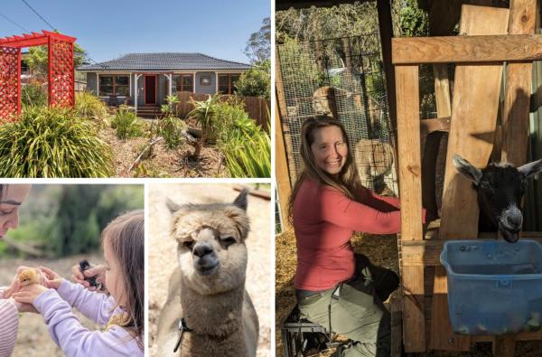 Blue Mountains Urban Farm Stay near Sydney, Rezervovat  Hazelbrook New South Wales
